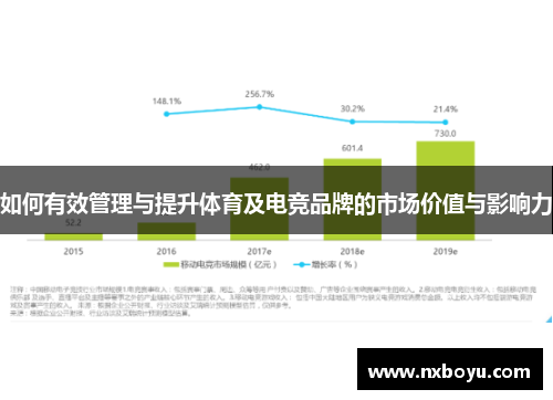 如何有效管理与提升体育及电竞品牌的市场价值与影响力